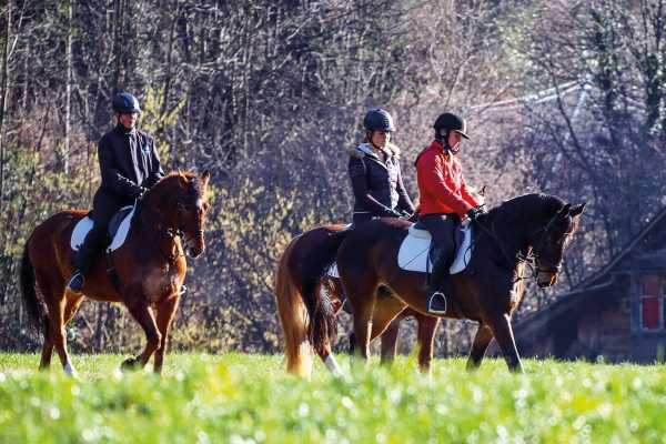 Horseback Riding Experience