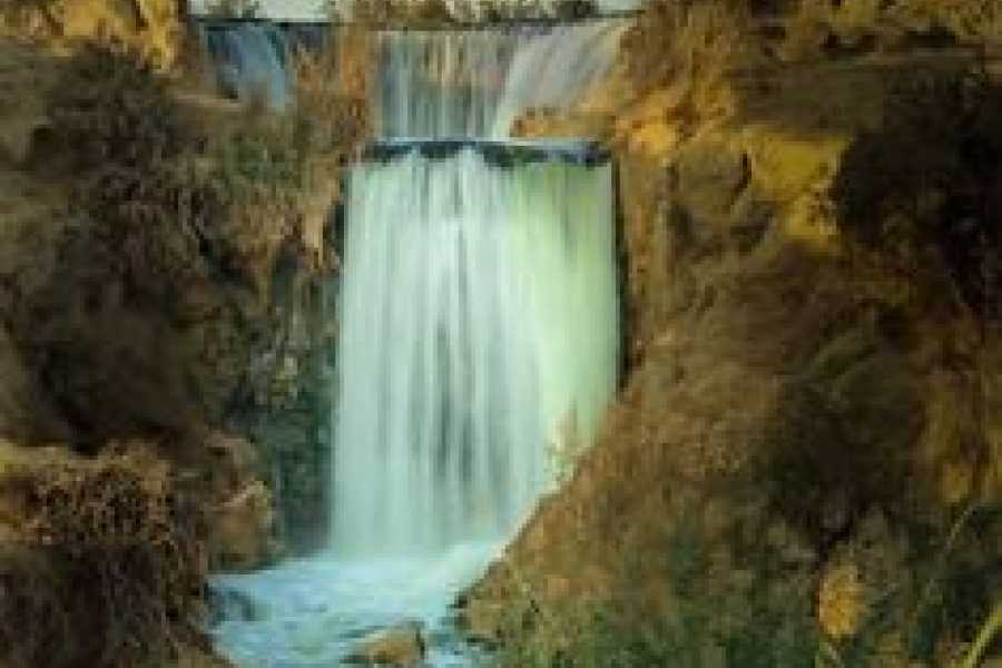 Bastet Travel Egypt 2 Day trip Fayoum oasis and Wadi el Hitan from Hurghada