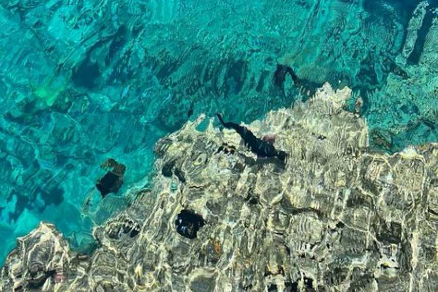 Bastet Travel Egypt Luxor Overnight Trip From Sharm El-Sheikh By Plane