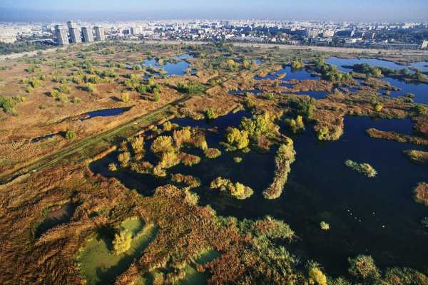 Group tour Safari in Vacaresti Delta  Bucharest 2025