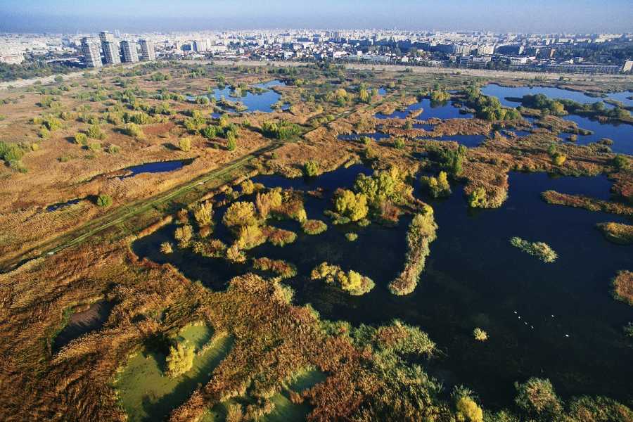 Carpathian Travel Center Group tour Safari in Vacaresti Delta  Bucharest 2025