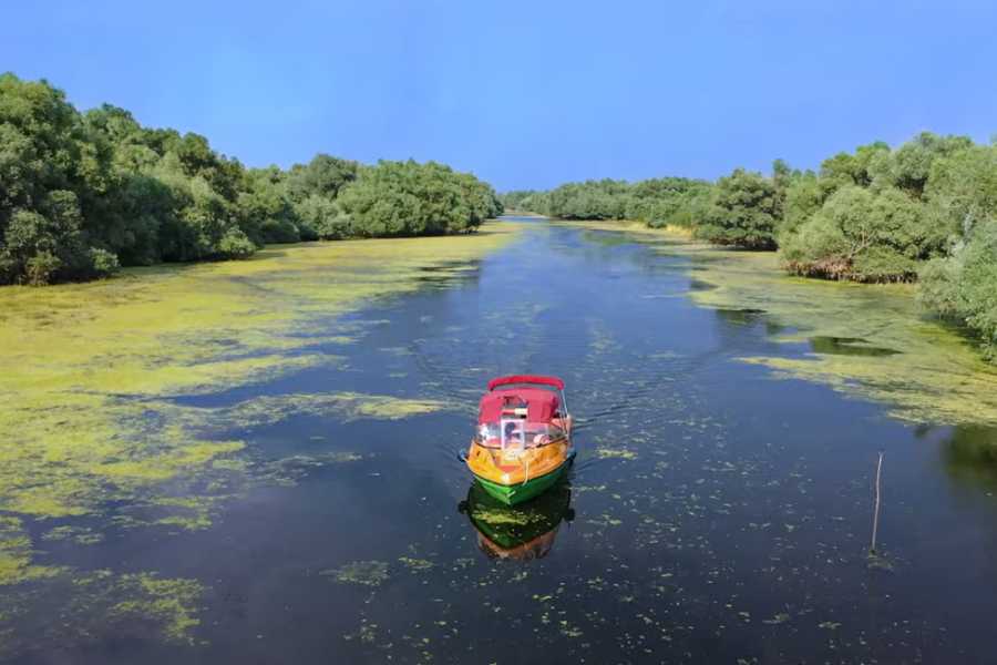 Carpathian Travel Center Private tour Day in the Danube Delta 2025 from Bucharest