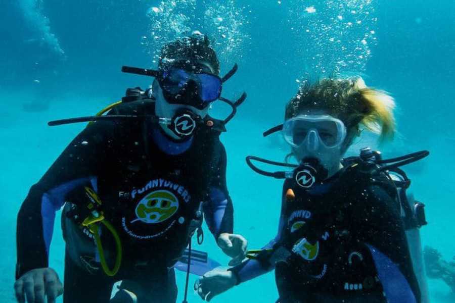 Bastet Travel Egypt 7 Days Egypt Christmas Vacation Cairo and Sharm El-Sheikh 2024/2025