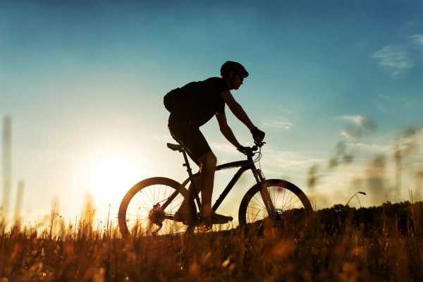Backoffice - Bicycle Servicing