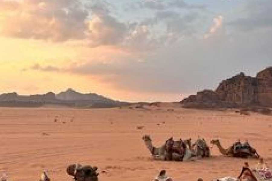 Bastet Travel Egypt 5 Day Luxury Cairo & Hurghada Tour Package