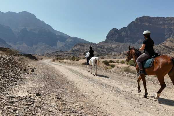Horse Riding