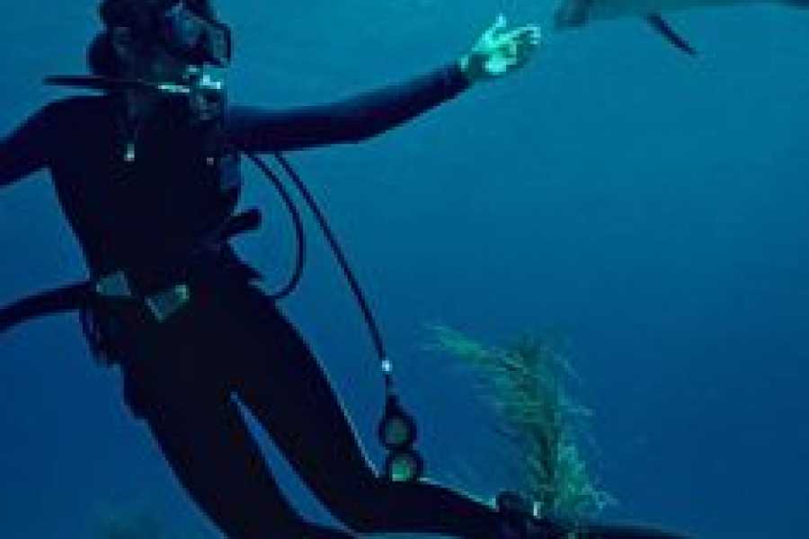 Bastet Travel Egypt Wreck Diving Trip to SS Thistlegorm