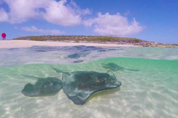 Private Snorkelling & Stingray Adventure (Grand Turk)