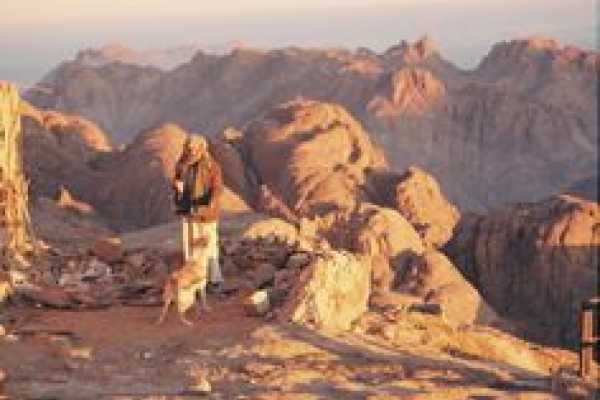 12 days: Cultural Tour, cruise and Sinai