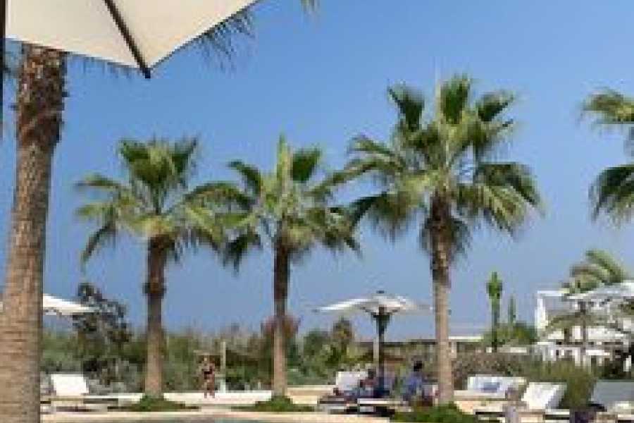 Bastet Travel Egypt M/S Minerva