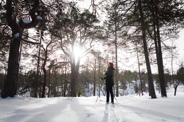 Explorative AS P&aring; sporet av norske skihelter
