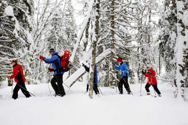 Explorative AS Snowshoe hike in Skjækerfjella