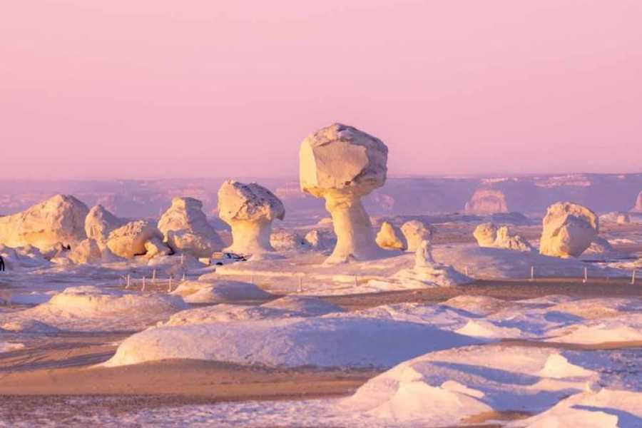 Bastet Travel Egypt 12-Day Grand Tour of Egypt: Cairo, Nile Cruise, and Sahara Desert Tour