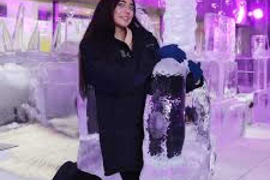 Daily tours Egypt Chillout Ice Lounge Dubai