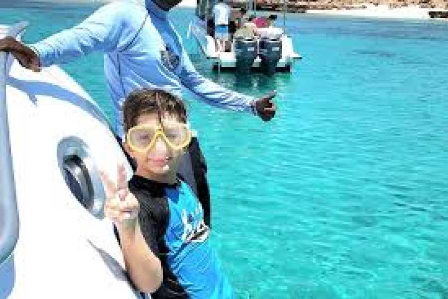 Daily tours Egypt Snorkeling And Glass Bottom Views At Daymaniyat Island