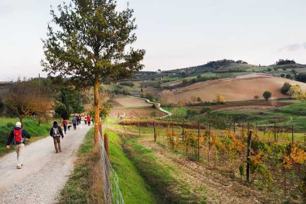 TOSCANA: Comune Torrita di Siena (Torrita e dintorni), Vie e Cammini Lauretani