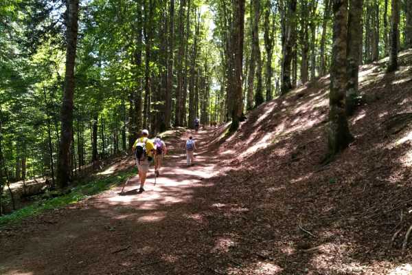 TOSCANA: Camaldoli - Badia Prataglia, Vie e Cammini di San Francesco