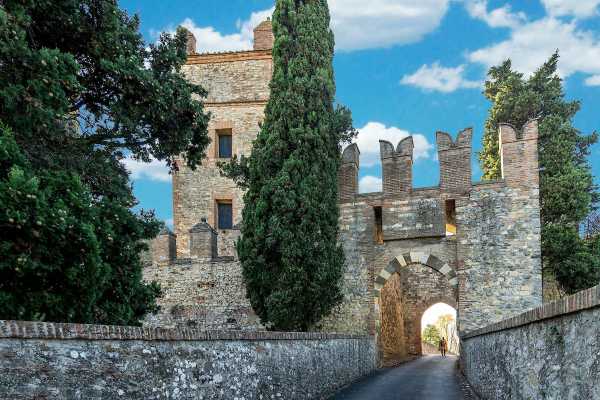 Wine trekking tra le colline bolognesi - speciale Bologna Wine Week