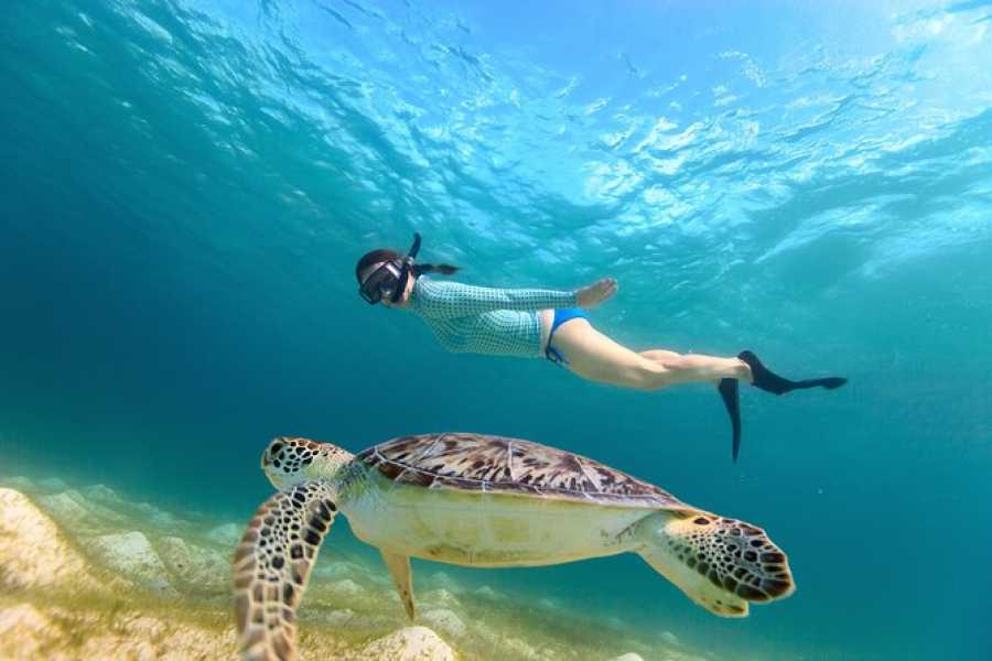 Marsa alam tours Find the Dugong from Abu Dabab beach by speedboat From Hurghada