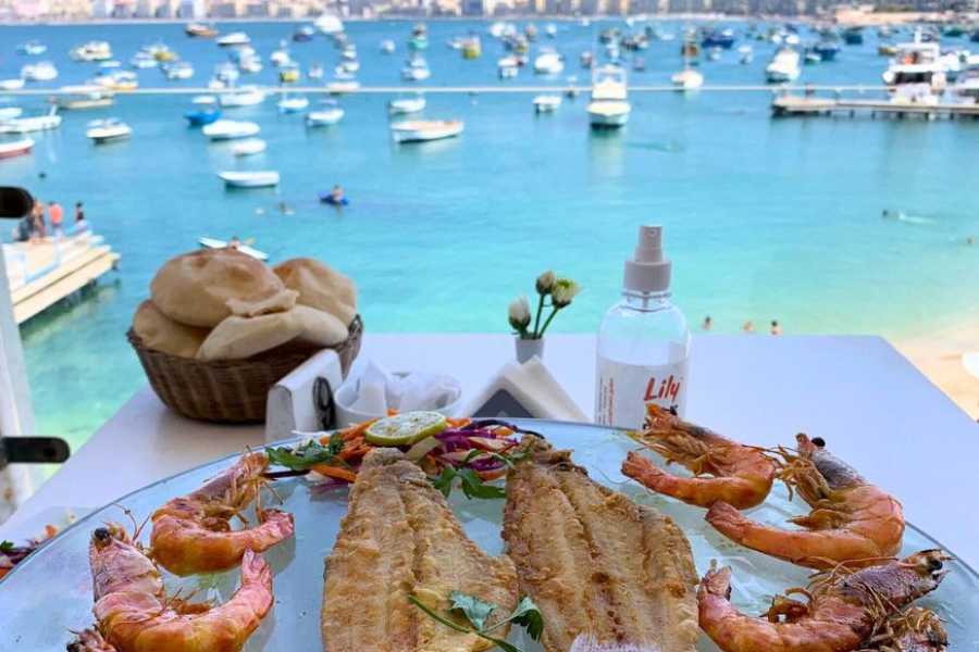 Egypt Tour packages Romantic Evening in Alexandria From Alexandria Port