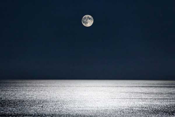 Segui la Luna - Passeggiata meditativa