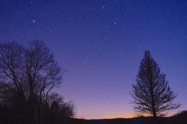 LE STELLE-VOCI DELLA NOTTE