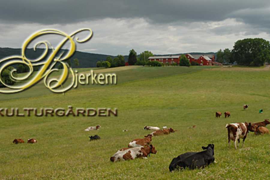 Explorative AS Workation p&aring; Kulturg&aring;rden Bjerkem