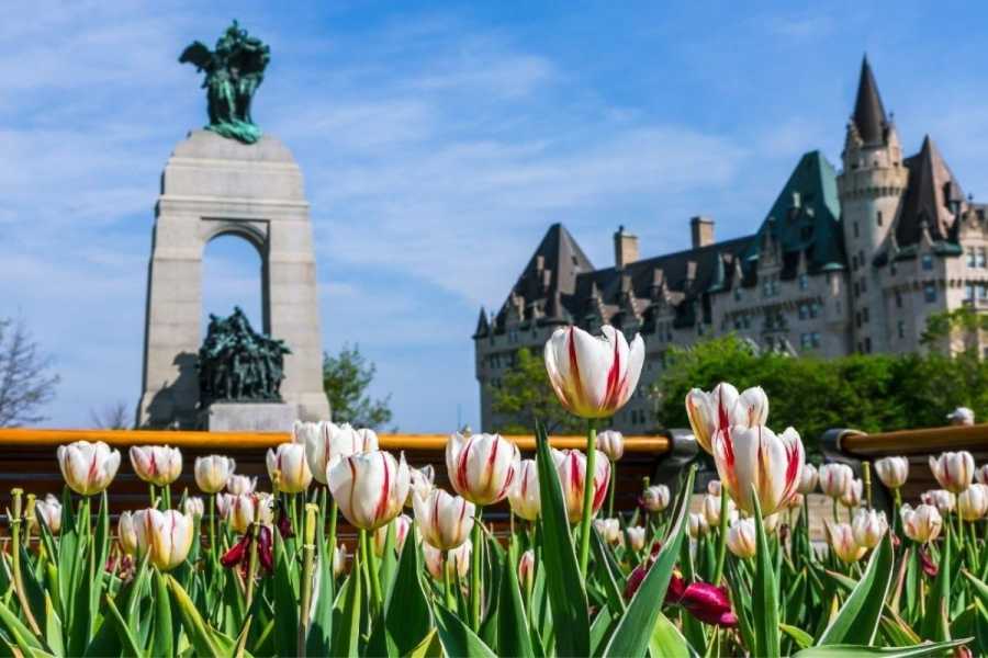 Dream Vacation Tours LUXURY OTTAWA TULIP FESTIVAL & QUEBEC CITY DREAM TOUR FROM NS & NB