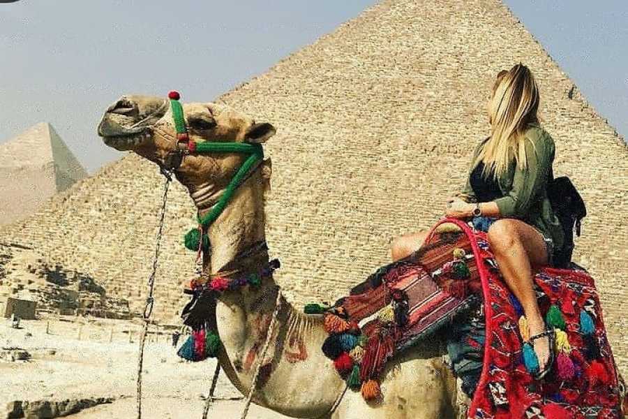 EMO TOURS EGYPT Cairo Free Tours To Giza Pyramids