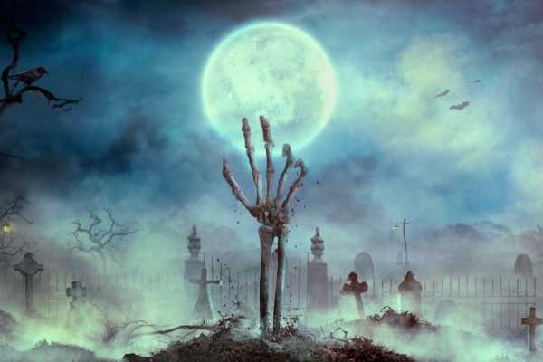 IL CAMMINO DEGLI ZOMBIE