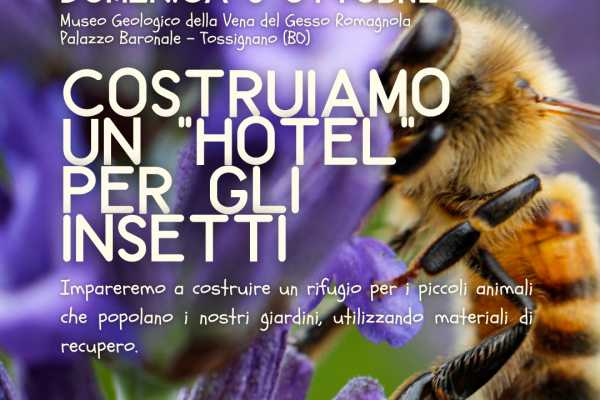 Let's build a "hotel" for insects