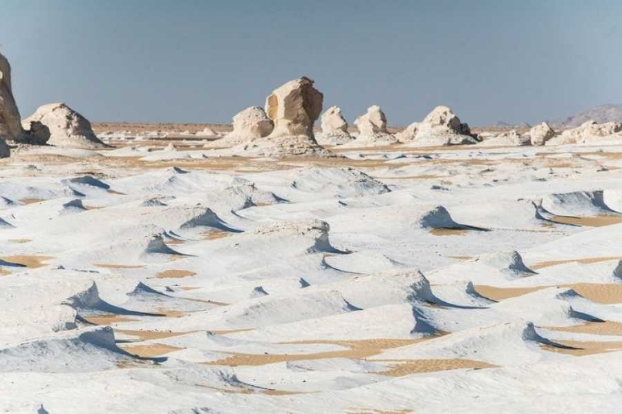 Excursies Egypte Two days tour to Bahariya Oasis and white desert from Cairo