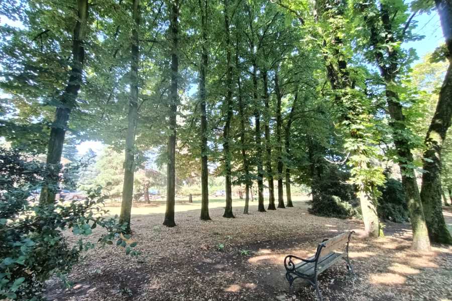 Modenatur Aree verdi del Comune di Formigine tra natura e cultura: walking tours serali