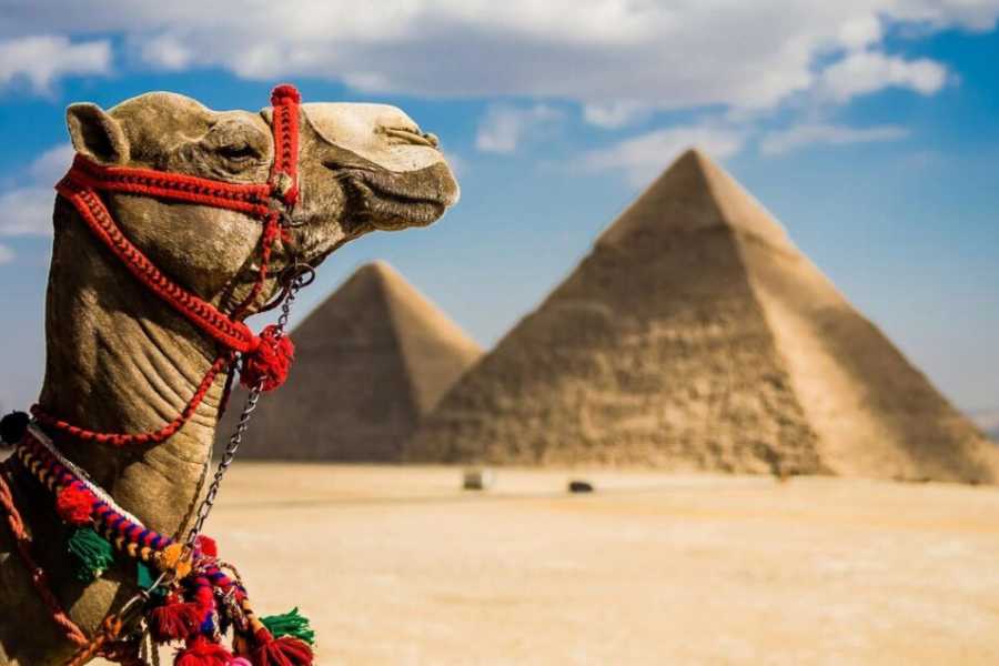 Excursies Egypte Tour to the Pyramids of Giza from Port Said