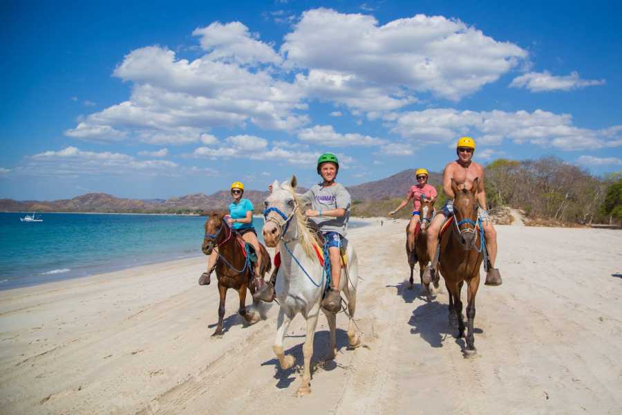 Arenas Brasilito Beach Horseback Ride