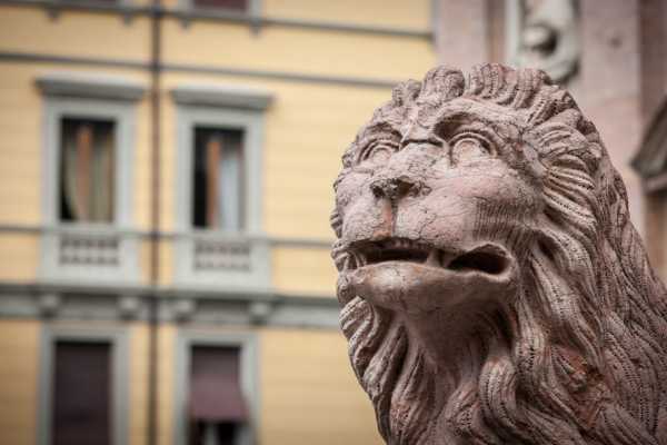 Passeggiando per la Reggio Emilia Medioevale - Visita guidata per adulti in lingua italiana