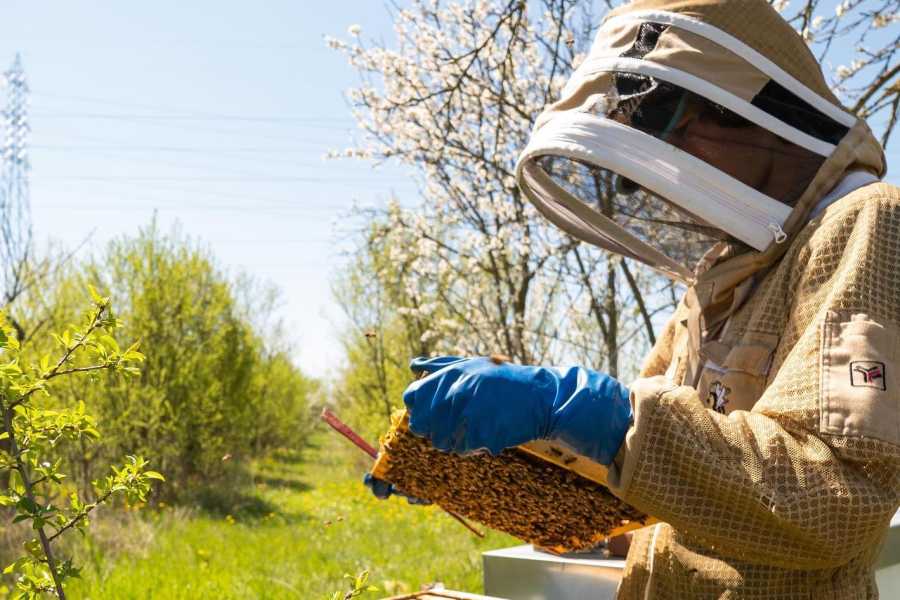 Bologna Welcome - eXtraBo Miele artigianale e prodotti genuini - Speciale Weekend del gusto