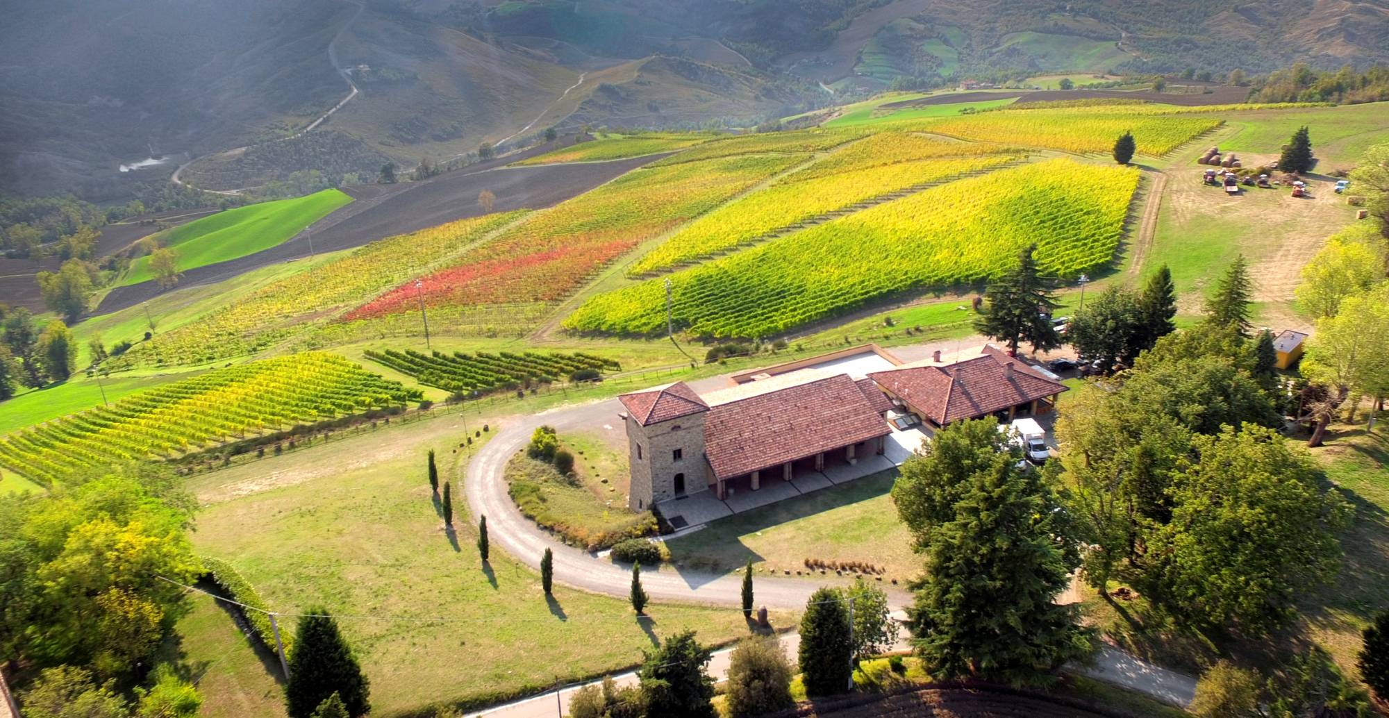 Wine experience: immersione nella tranquillità dei colli bolognesi - Speciale Weekend del gusto