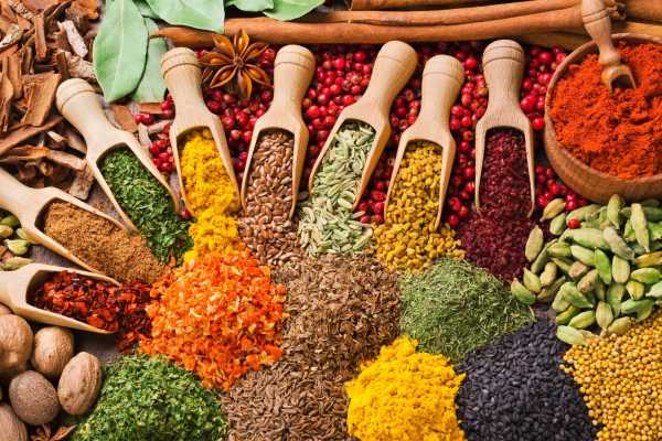 Flavors & Aromas of Baccanale