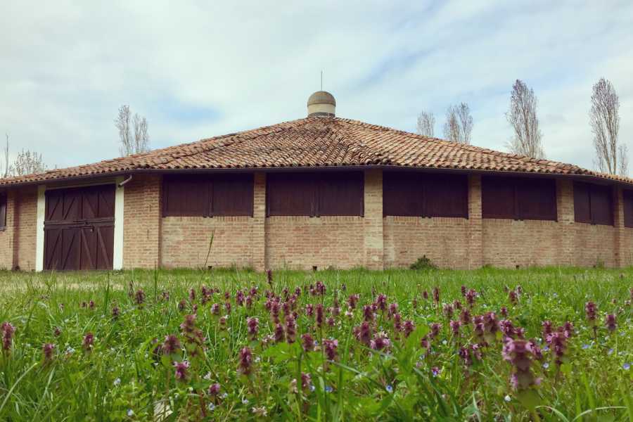 Modenatur Bike tour to Mirandola "Barchessoni" - Alla Scoperta di Ville e Castelli
