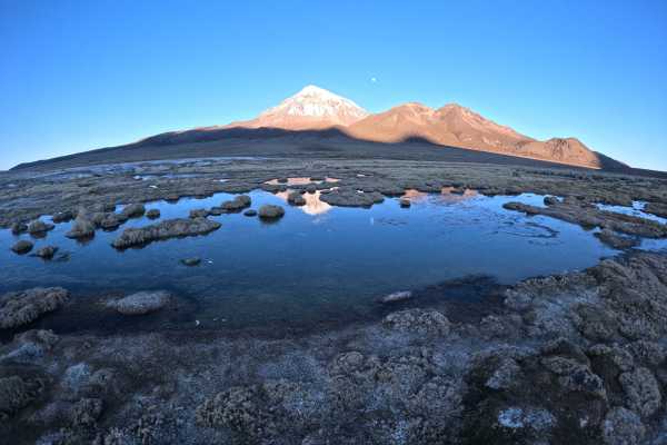 Sajama