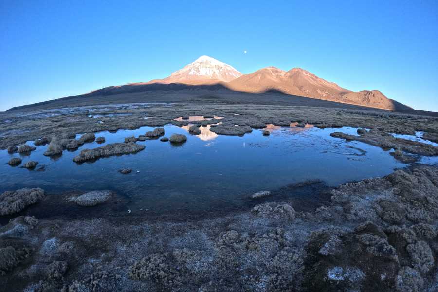 buhostours Sajama