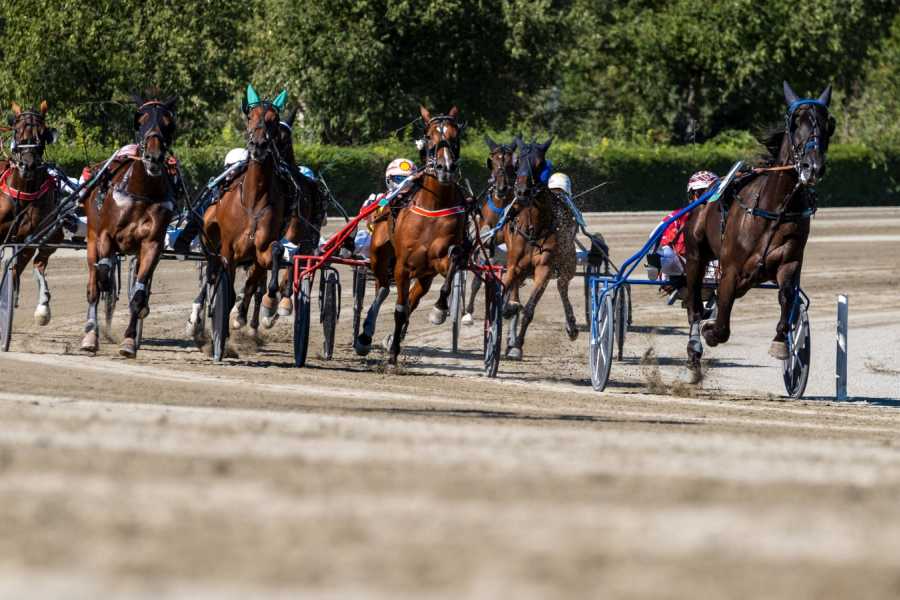 Modenatur Tour dell'Ippodromo Ghirlandina