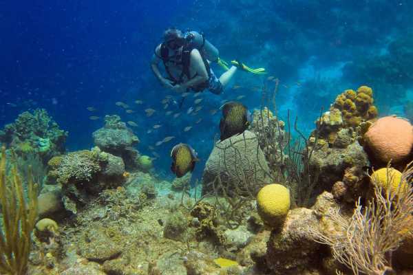 Cura&ccedil;ao Private 2-Tank Dive Adventure (Certified Divers Only)