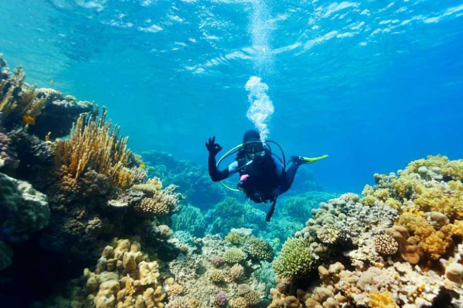 Egypt Tour packages 8 Days Egypt Tour Package without hotels or flights