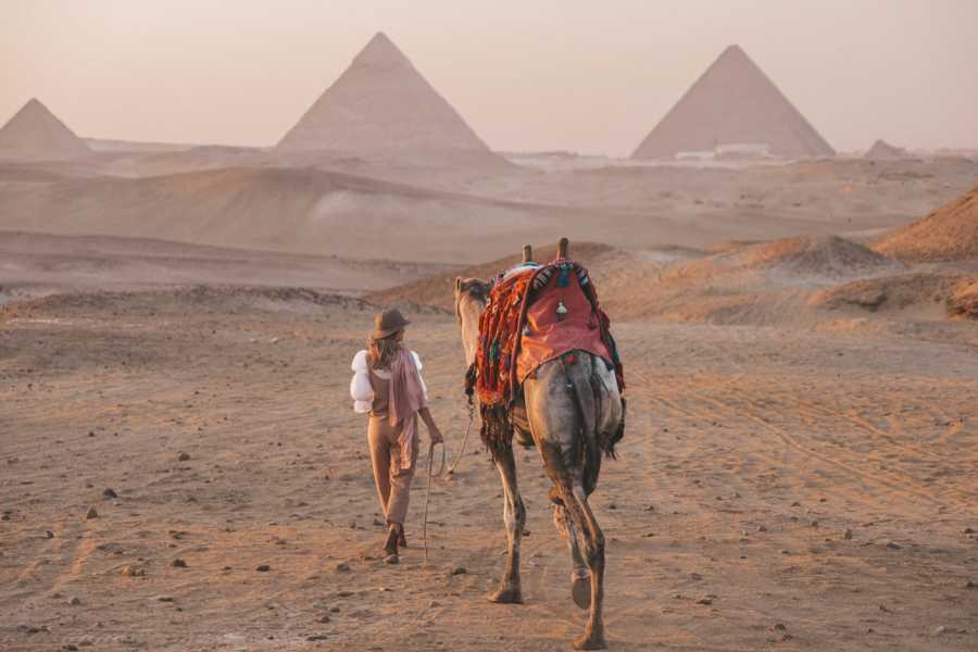Journey To Egypt Egypt Journey &ndash; Great Pyramids & Nile Cruise | January 2026 | Lead Travelers: Anthony Fox