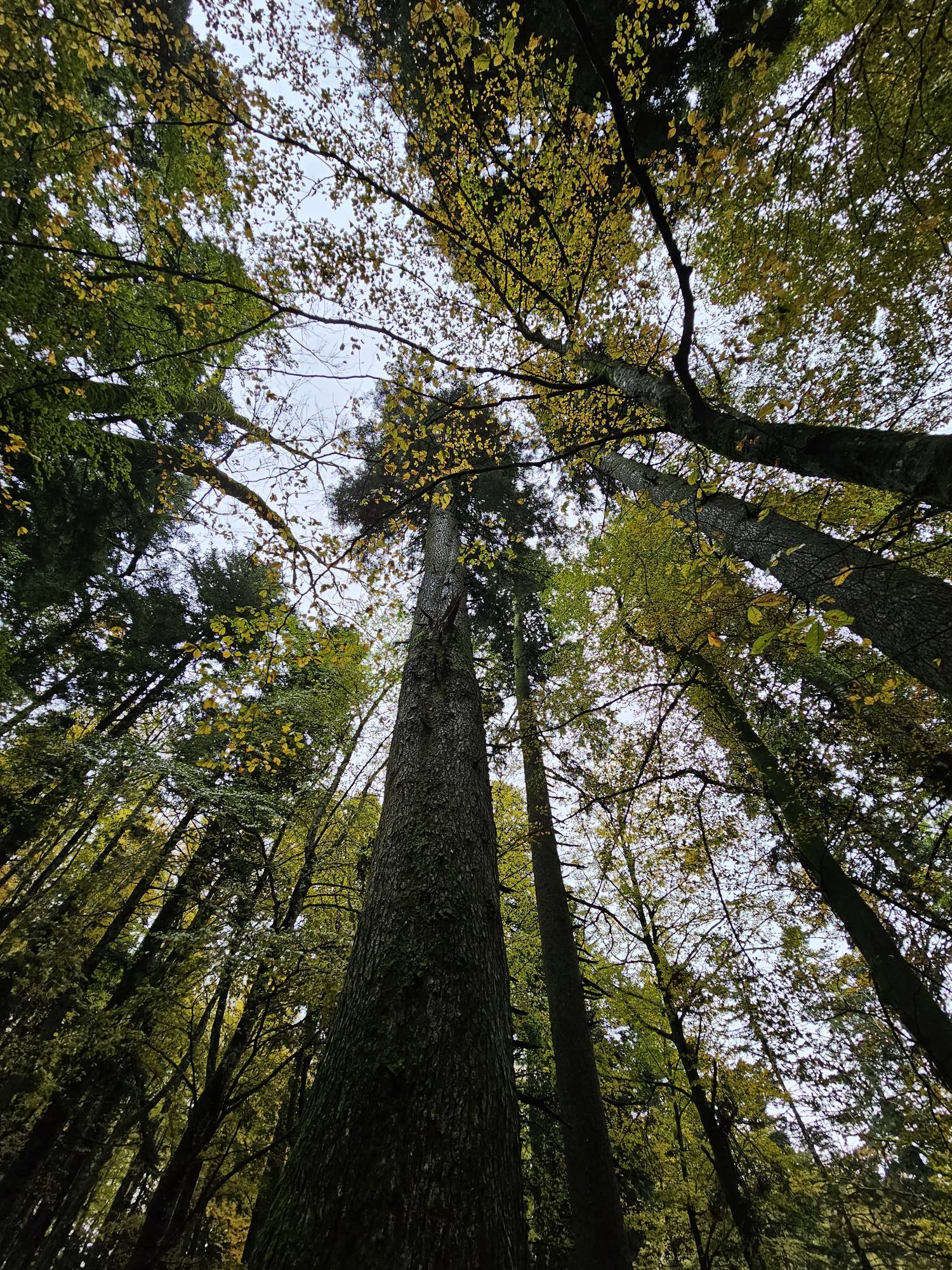 Esplorando il Parco dei Laghi in Appennino - Foliage Tour