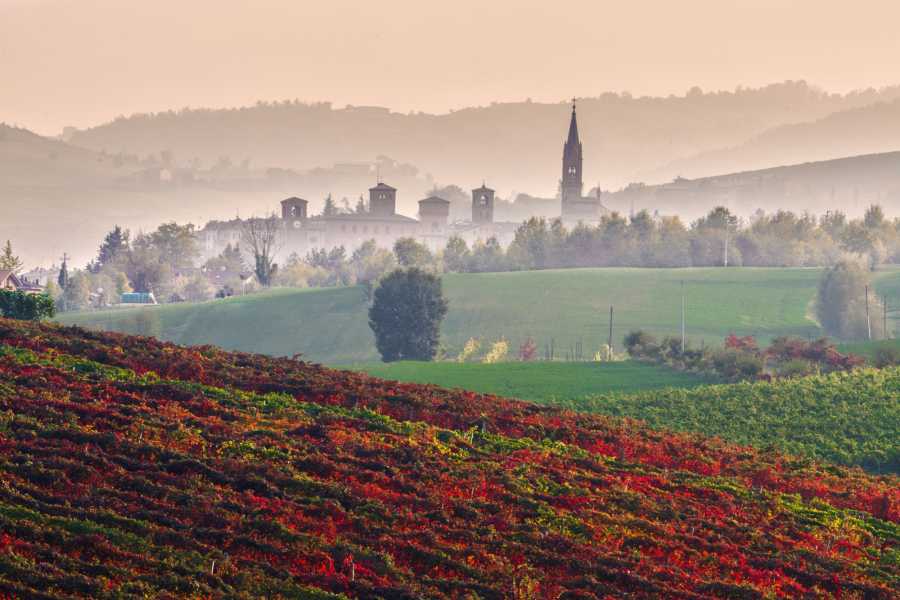 Modenatur Visita guidata al Palazzo Rangoni con passeggiata nel borgo - Speciale Autunno fuori dal Comune