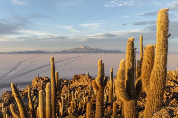 SALAR DE UYUNI (1 DAY)