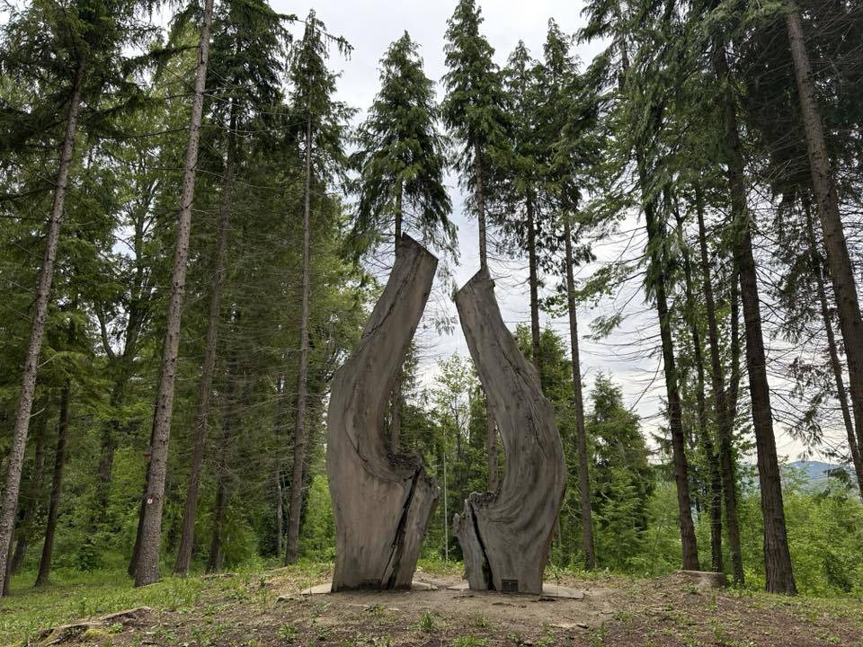 Escursione Sospesa - BOM Art Trail